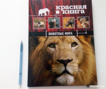 Скалдина, Слиж: Красная книга. Животные мира