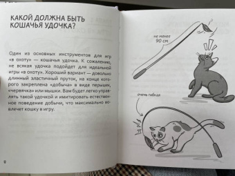 Анна Орлова: Самяучитель. Как правильно играть с кошкой