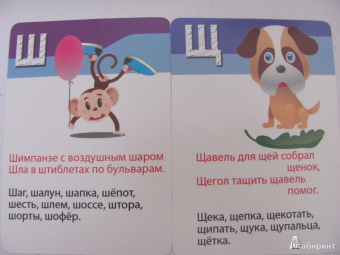 Марина Дружинина: Азбука, счет, цвета. 3-7 лет. 50 веселых стишков. 50 карточек