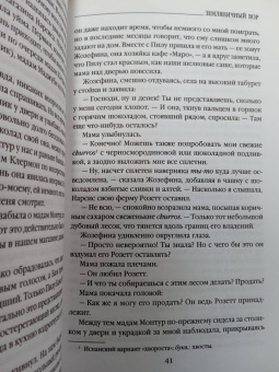 Джоанн Харрис: Земляничный вор