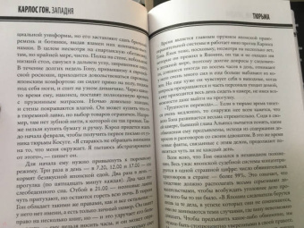 Байяр, Эглоф: Карлос Гон. Бегство в футляре главы альянса "Рено" - "Ниссан" - "Мицубиси". Западня