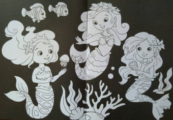 Раскраска ВОЛШЕБНЫЙ ЧЕРНЫЙ. ЦВЕТЫ И УЗОРЫ (Р-5489)