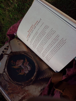 Елена Тын: Истории волшебного леса. Рецепты, рассказы, рукоделие и чудесные поделки, вдохновлённые природой