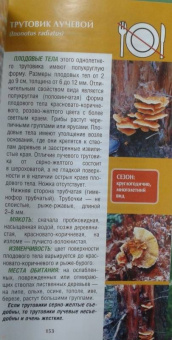 Матанцева, Матанцев: Грибы. Карманный справочник-определитель. Самые распространенные грибы и их двойники