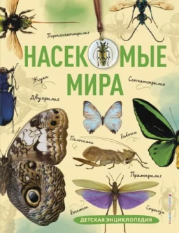 Андрей Сочивко: Насекомые мира. Детская энциклопедия