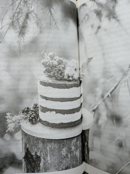 Наталья Меркулова: Даша и домовой. Месть водяному