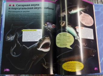 Кармен Родригес: Подводный мир. Большая детская энциклопедия