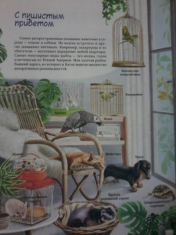 Юлия Смирнова: Природа в городе