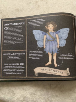 Секретная жизнь фей