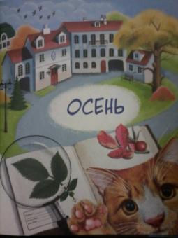 Юлия Смирнова: Природа в городе