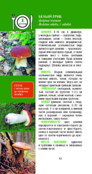 Матанцева, Матанцев: Грибы. Карманный справочник-определитель. Самые распространенные грибы и их двойники