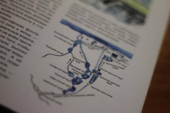 Наталия Шейко: Дворцы, сады, фонтаны Петергофа