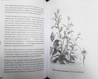 Катя Астафьефф: Дурное семя. Удивительная история жалящих, обжигающих и убивающих растений