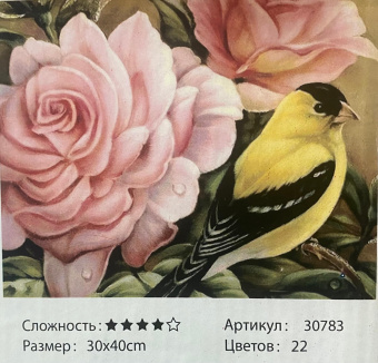 Рисование по номерам " Канарейка и розы ", 30х40 см