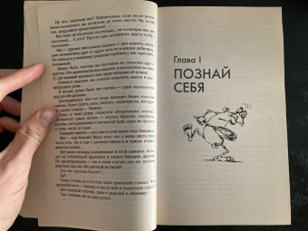 Норбеков, Волков: Успех на вашу голову и как его избежать
