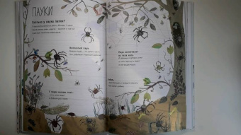 Зоммер, Тейлор: Большая книга букашек