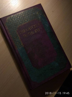 Джером Сэлинджер: Над пропастью во ржи