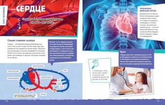 Современная большая детская энциклопедия
