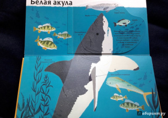 Боманн, Дюпон: Животные снаружи и внутри