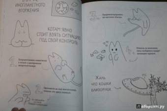 #опокот. Самый гадкий кот на свете (рыжий)