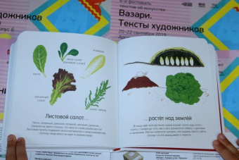 Гибер де: Как они растут?