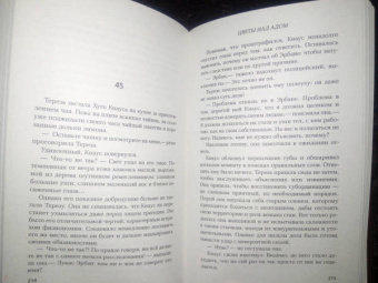 Илария Тути: Цветы над адом