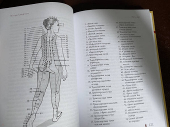 Мэтью Свейгарт: Путь Ци. Энергия жизни в вашем теле. Упражнения и медитации