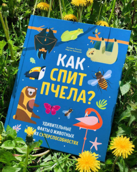 Пинтос, Ианнуззи: Как спит пчела? Удивительные факты о животных и их суперспособностях