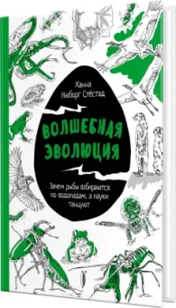 Стёстад Нюборг: Волшебная эволюция. Зачем рыбы взбираются по водопадам, а пауки танцуют