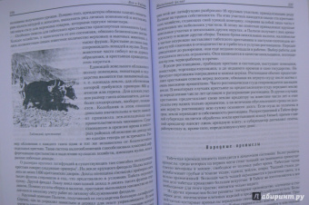 Царева, Кюнер, Мак-Говерн: Все о Тибете. Природа, религия, традиция