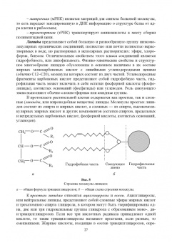 Татьяна Хромова: Ботаника с основами физиологии растений. Учебник для вузов
