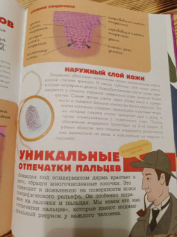 Дубынин, Сергеев: Тело человека