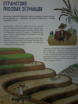 Михаил Пегов: Истории вещей. От самовара до Интернета