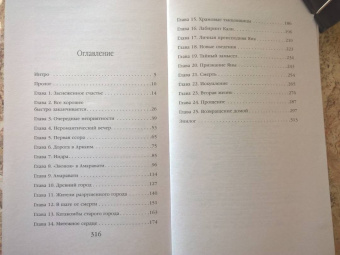 Анна Одувалова: Змеиная школа. Камень желаний