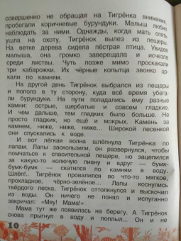 Тамара Николаева: Все так и было