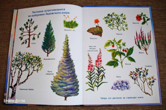 Кристина Кретова: Приключения мышонка Недо на Ладоге. Географические сказки