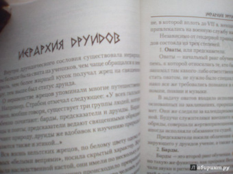 Виталий Молохов: Тайные знания друидов