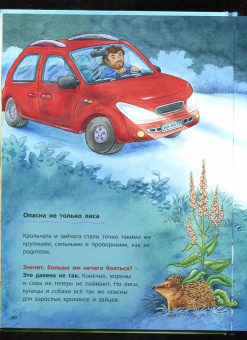 Фридерун Райхенштеттер: Как живут кролики и зайцы. Познавательные истории