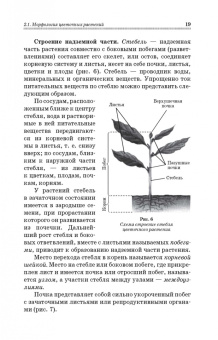 Шаламова, Крупина, Миникаев: Цветоводство. Практикум. Учебное пособие