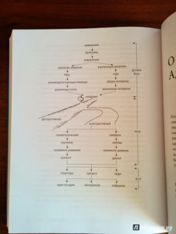 Ицхак Адизес: Управляя изменениями. Как эффективно управлять изменениями в обществе, бизнесе и личной жизни