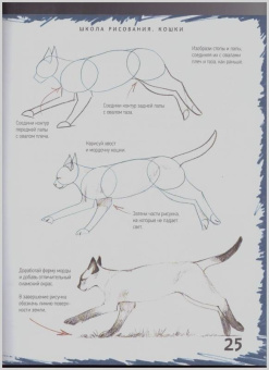 Марк Берджин: Школа рисования. Кошки
