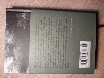 Борис Пастернак: "Лети, душа моя, сквозь дали без числа..."
