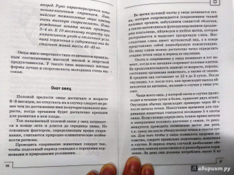 Л. Моисеенко: Ветеринарный справочник фермера