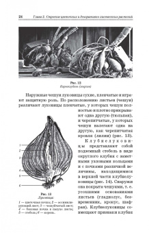 Шаламова, Крупина, Миникаев: Цветоводство. Практикум. Учебное пособие