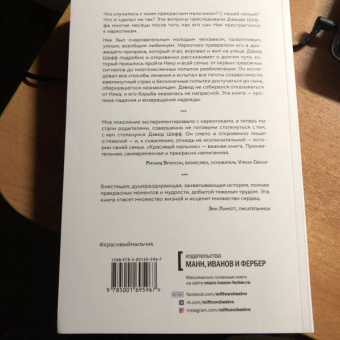 Дэвид Шефф: Красивый мальчик. Правдивая история отца, который боролся за сына