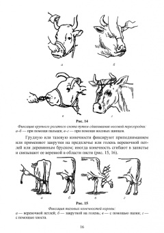 Анникова, Козлов: Клиническое исследование животных. Учебное пособие для СПО