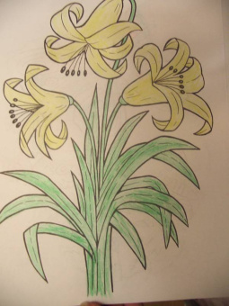 Татьяна Коваль: Цветы и бабочки