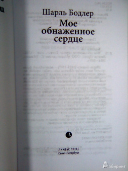 Шарль Бодлер: Мое обнаженное сердце:  Статьи, эссе