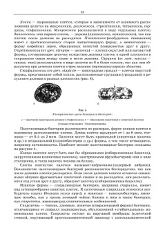 Мишанин, Касьянов, Запорожский: Рациональная переработка мясного и рыбного сырья. Учебное пособие