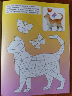 Котята и кошки